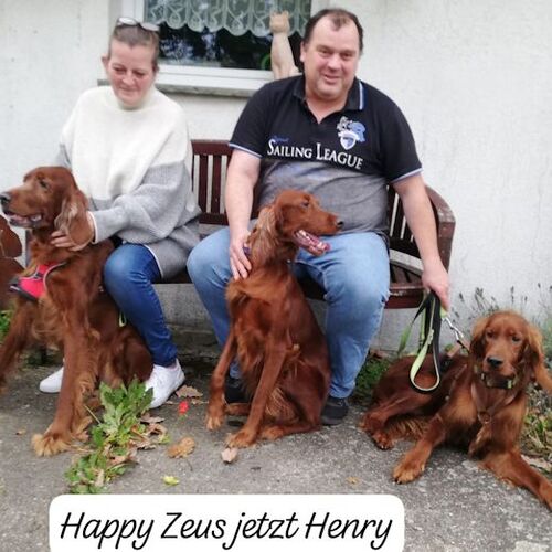 Zeus