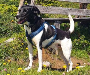 In Gedenken an Diego