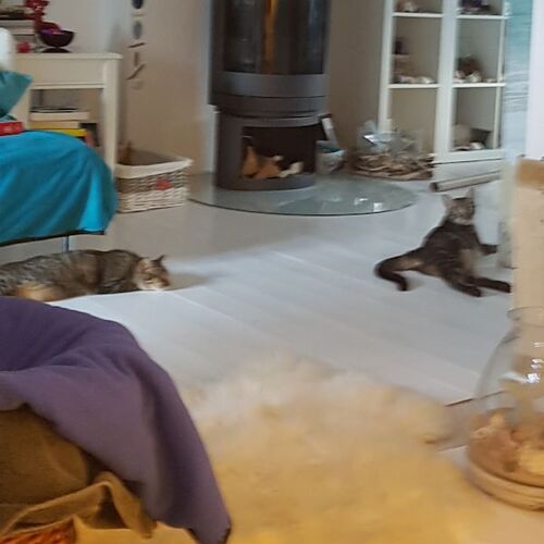 Anais und Milo