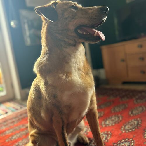 Logan