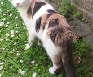 In Gedenken an Holly