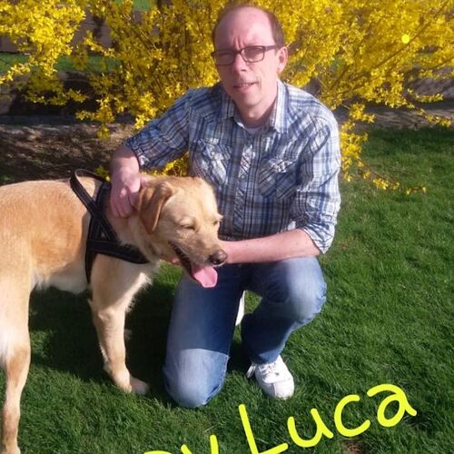 Luca