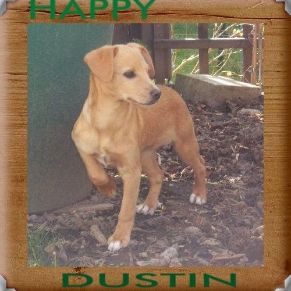 Happy Dustin, jetzt Fynn, März 2014