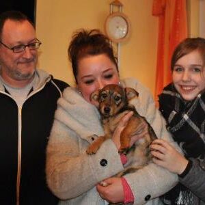 Happy End Pupples, Februar 2017
