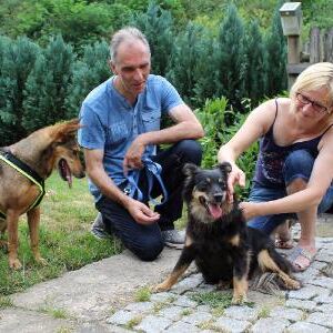 Happy End Lawenda, jetzt Nelly, Juli 2015