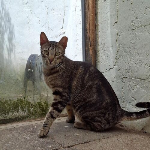 Eduardo