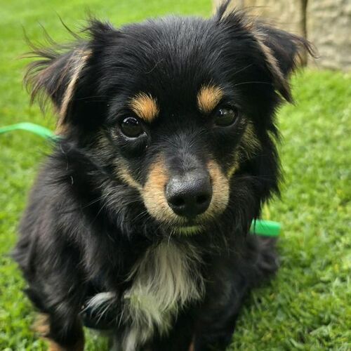 Zoe