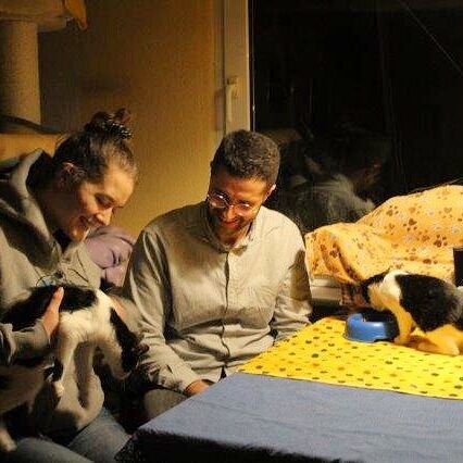 Silvestre+ Amora