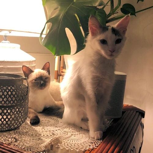 Carlo und Tilda
