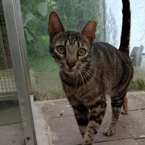 Eduardo