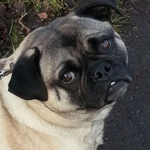 Oskar