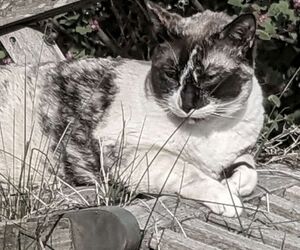 In Gedenken an Olivia