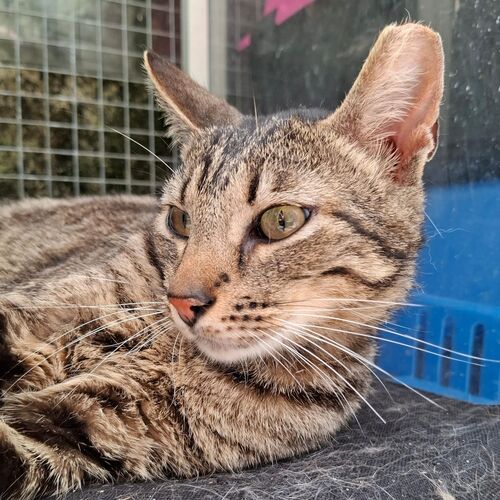 Eduardo