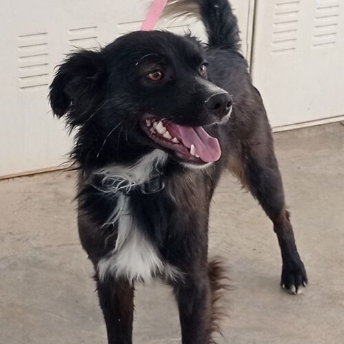 Marco