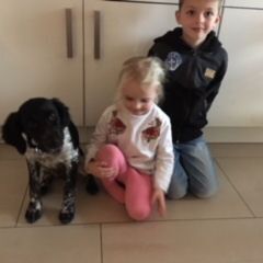 Happy End Pelle, Dezember 2017