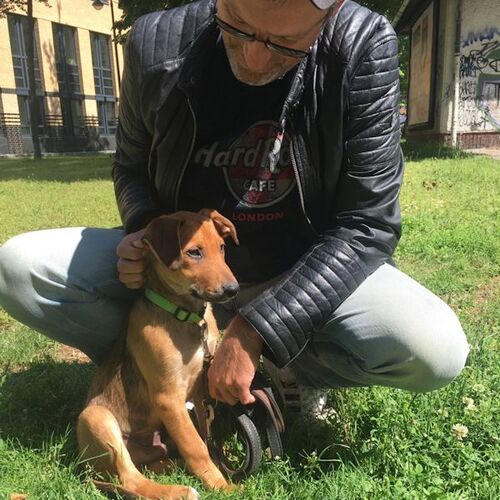 Athos