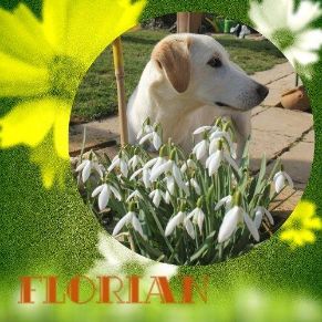 Happy Florian, März 2014
