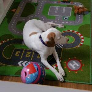Happy End Milla, April 2015