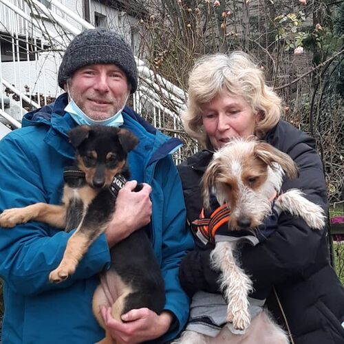 Cova