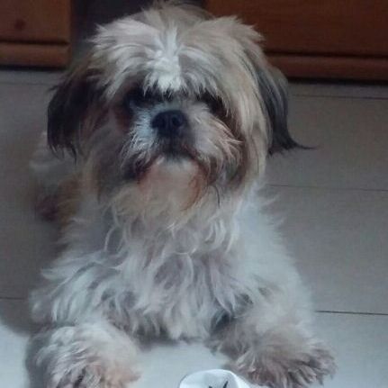 Molly