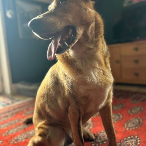 Logan