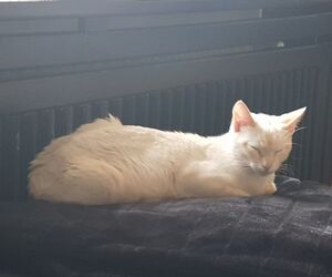 In Gedenken Percy