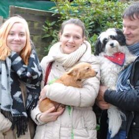 Happy End Neka, Januar 2015