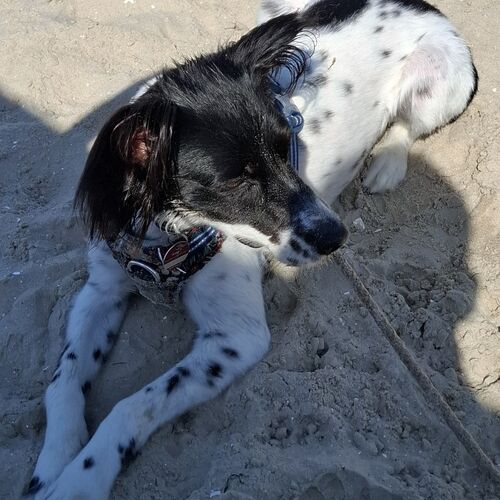 Sally