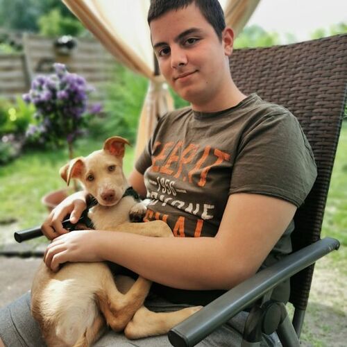 Alen