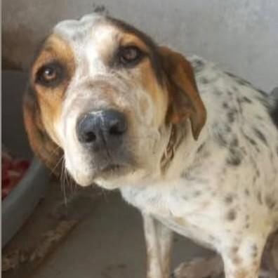 Stina