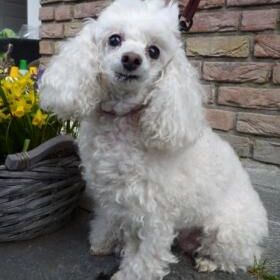 Happy Gina, April 2013