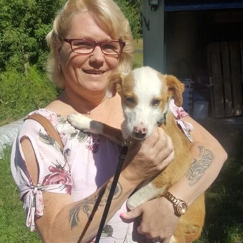 Max
