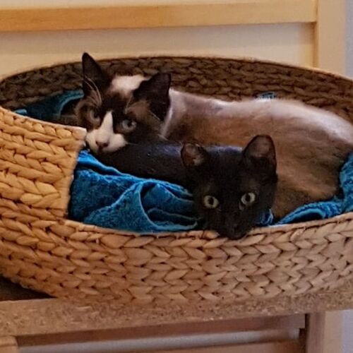 Peter und Paul