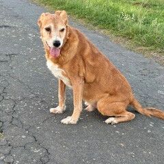 Hugo