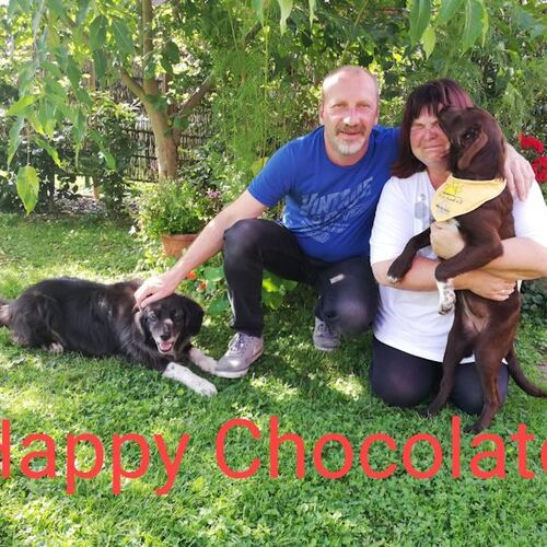 Chocolate