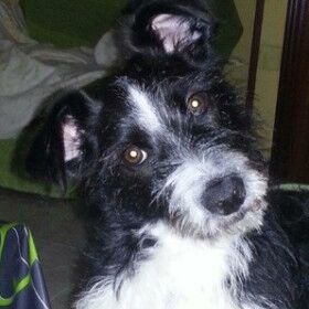 Happy Lupo, Nov. 2013