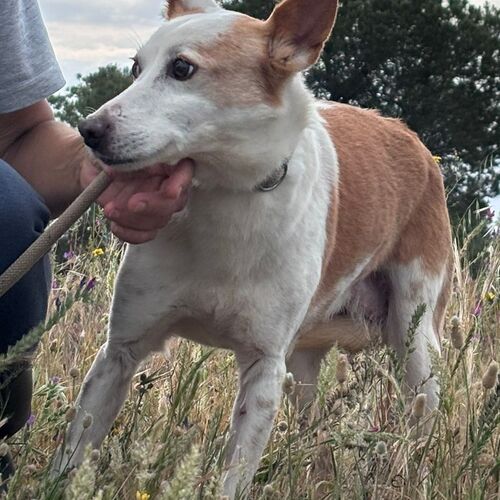 Nina
