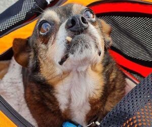 In Gedenken an Monty