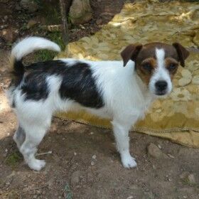 Happy Tilly, Juni 2013